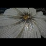 Magic flowers 6B&WO 100х200cm 