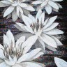 SICIS FLOWER POWER FLO 9B&W 150x290 cm (реплика)