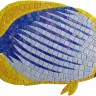 Коралловая рыбка - 4 (габариты 50х30 см.)
