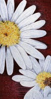 SICIS FLOWER POWER FLO 5W 150x290 cm (реплика)