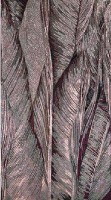 SICIS WONDERFUL FLO 01 WONDER MAUVE 150x270 cm (реплика)