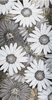 SICIS FLOWER POWER FLO 7B&W 150x290 cm (реплика)