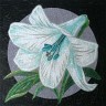 Deco flowers 1B&C 80х80 cm
