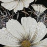 Magic flowers 6B&WO 100х200cm 
