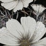 Magic flowers 6B&WO 100х200cm 