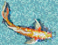 APP-02 CARP COI (габариты 57х45 см.)