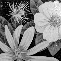 Magic flowers 3B&W 100х100 cm