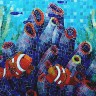 APP-06 CORAL RIF (габариты 131х65 см.)