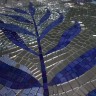 Magical tropics 1 FS&B 100х200 cm