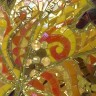 Кленовый лист 01 (15х25 см)