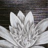 SICIS FLOWER POWER FLO 2B&W 150x290 cm (реплика)