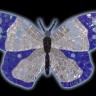 BUTTERFLY DECO  05 SB 40х25 cm