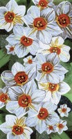 SICIS FLOWER POWER FLO 2W/X 150x290 cm (реплика)