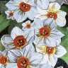 SICIS FLOWER POWER FLO 2W/X 150x290 cm (реплика)