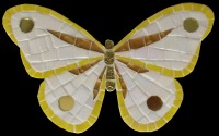 BUTTERFLY DECO  06Y 20х12 cm
