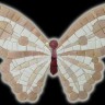 BUTTERFLY DECO  07 CW 24х17 cm